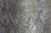 Stakeford fibreglass roof work